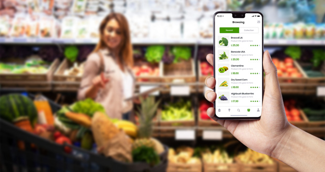 on demand grocery app development