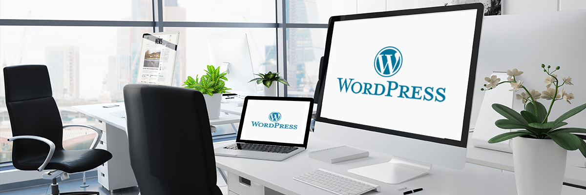 WordPress Development Company